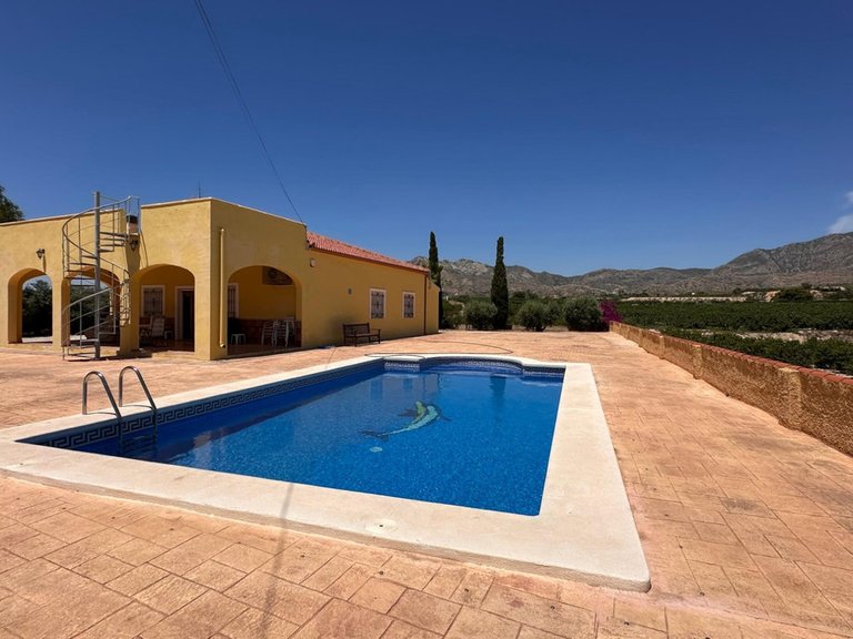 Villa for Sale in Albatera, Alicante 37