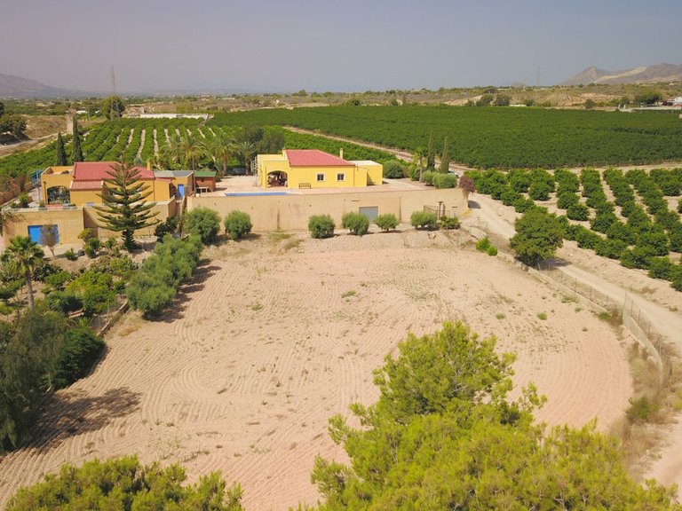 Villa for Sale in Albatera, Alicante 41