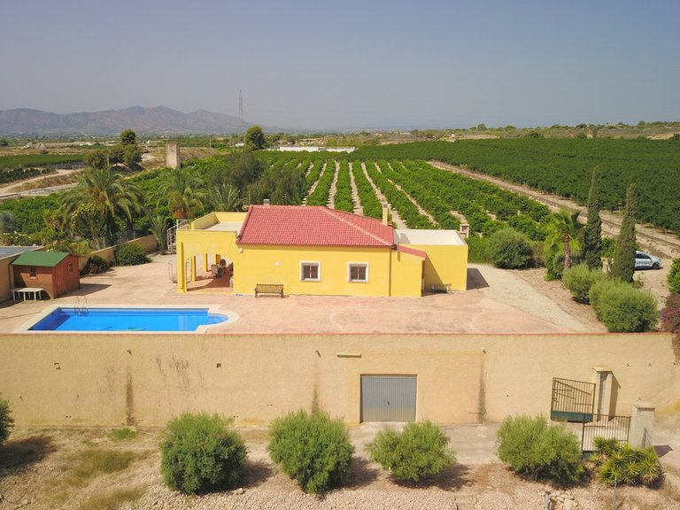Villa for Sale in Albatera, Alicante 42