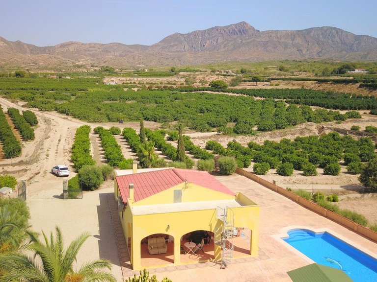 Villa for Sale in Albatera, Alicante 44
