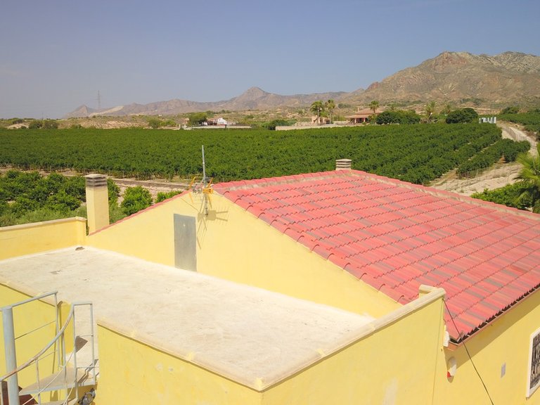 Villa for Sale in Albatera, Alicante 45