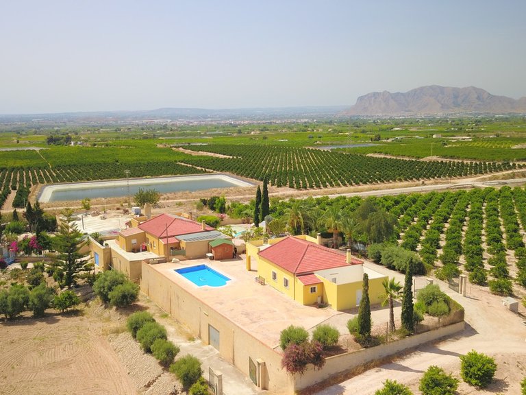 Villa for Sale in Albatera, Alicante 46