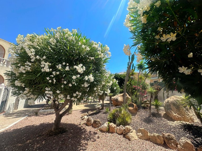 Villa for Sale in Torrevieja, Alicante 13