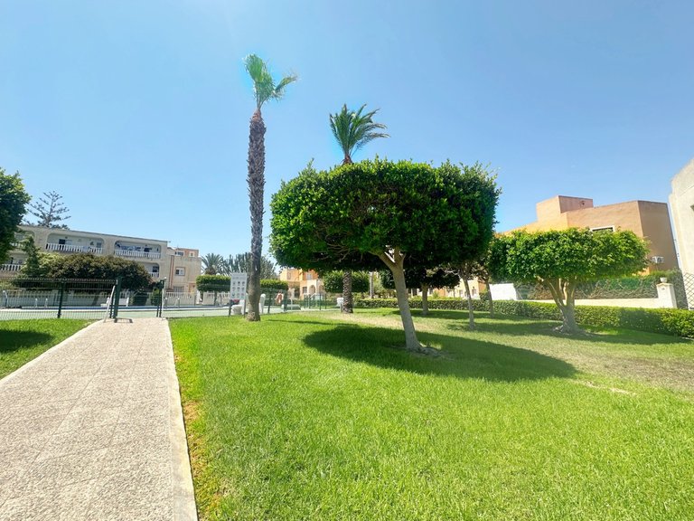 Villa for Sale in Torrevieja, Alicante 14