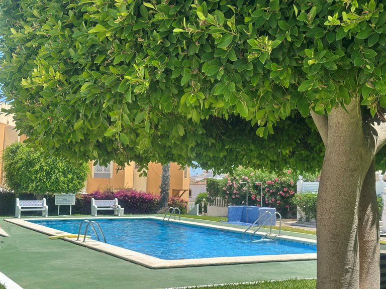Villa for Sale in Torrevieja, Alicante 16