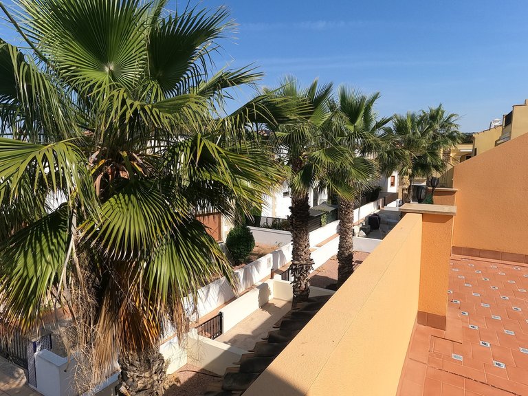 Town House for Sale in Algorfa, Alicante 17