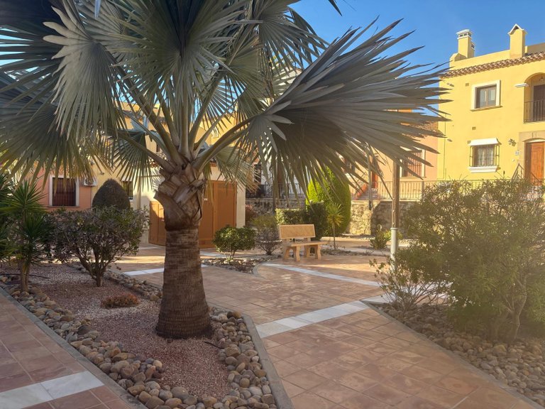 Town House for Sale in Algorfa, Alicante 22