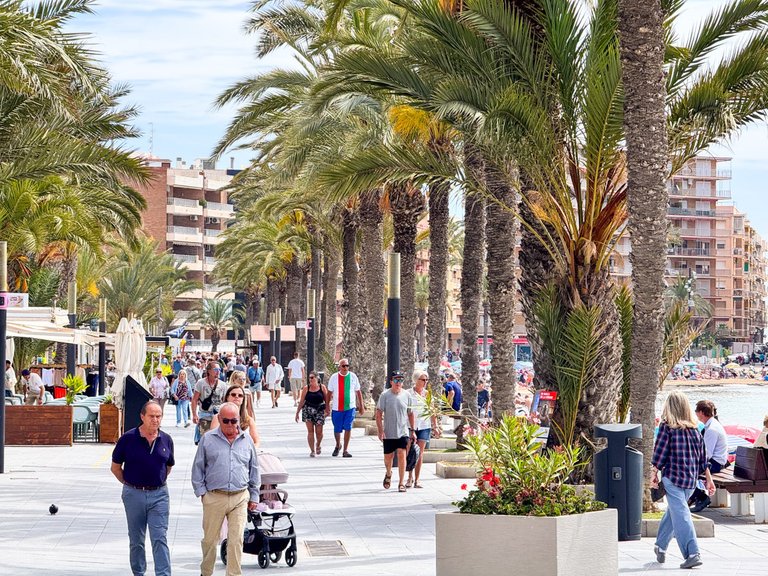 Apartment for Sale in Torrevieja, Alicante 39