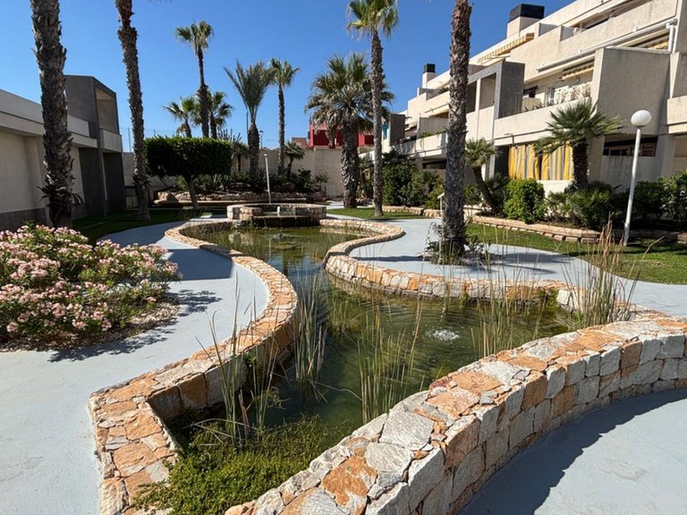 Apartment for Sale in Torrevieja, Alicante 19