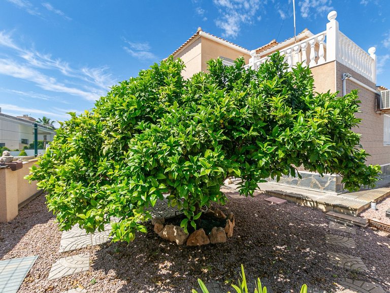 Villa for Sale in La Zenia, Alicante 11