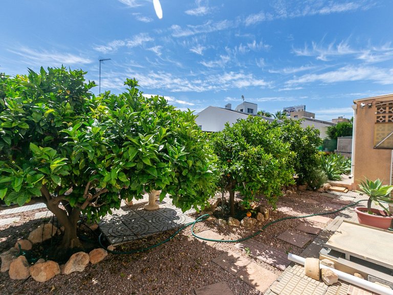 Villa for Sale in La Zenia, Alicante 45