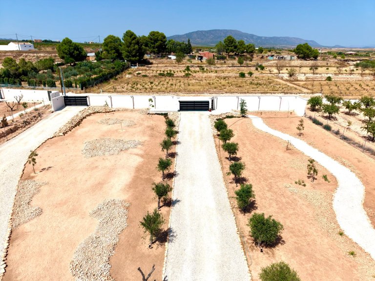 Villa for Sale in Pinoso, Alicante 21