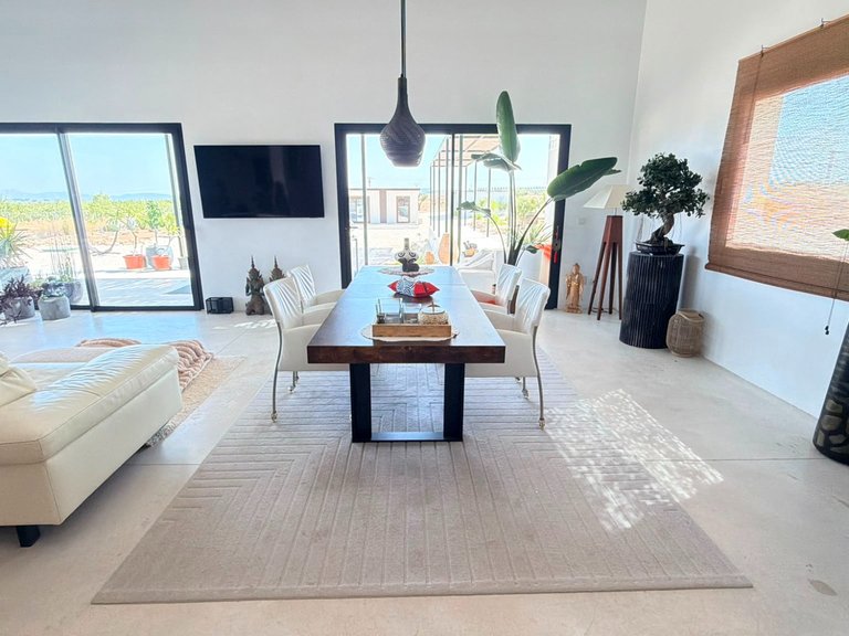 Villa for Sale in Pinoso, Alicante 41