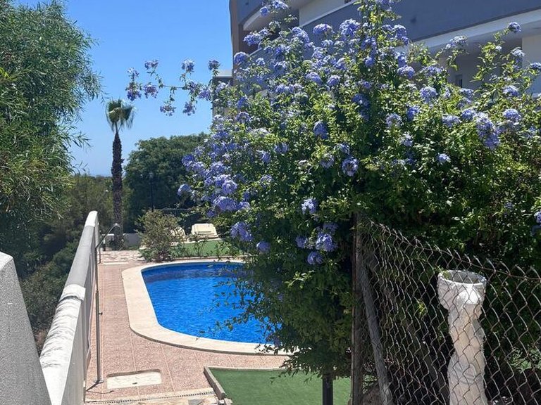 Apartment for Sale in Villamartin, Alicante 16