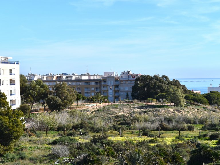 Town House for Sale in Guardamar Del Segura, Alicante 29