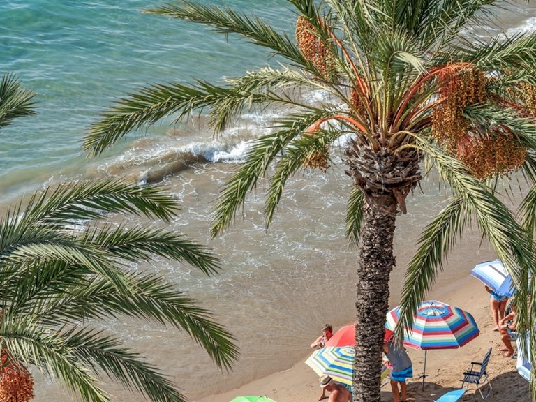 Apartment for Sale in Playa del Cura, Torrevieja, Alicante 27