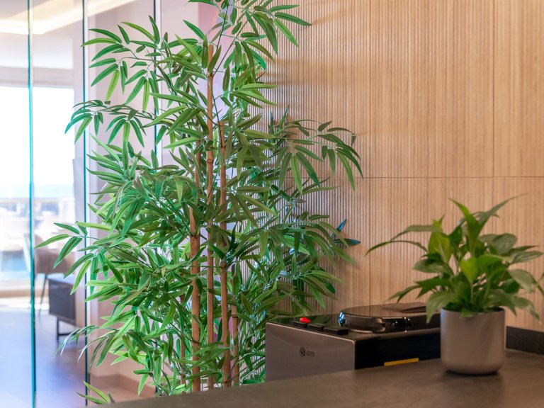 Penthouse for Sale in Altea, Alicante 17