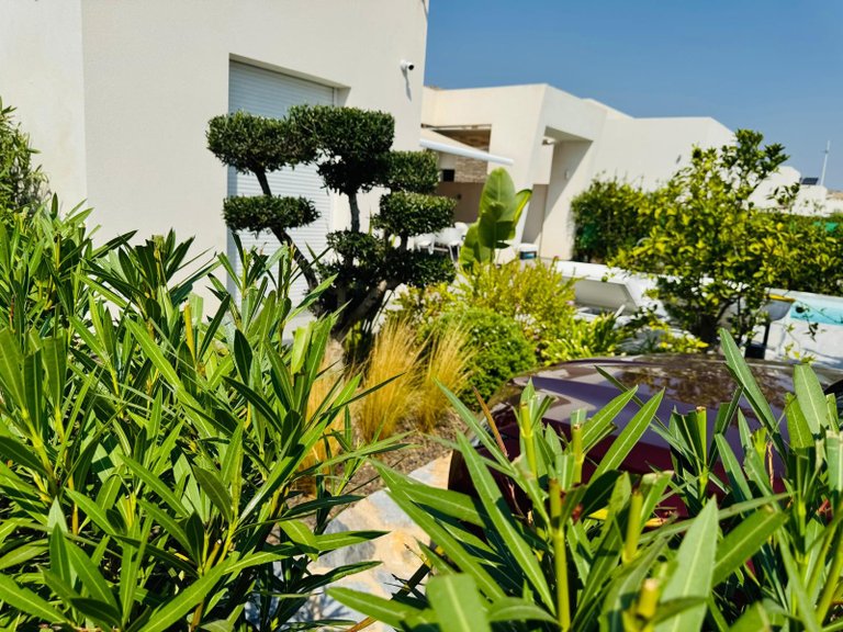 Villa for Sale in Inland Algorfa, Alicante 17