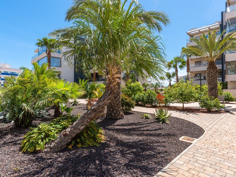 Apartment for Sale in Los Dolses, Orihuela Costa, Alicante 41