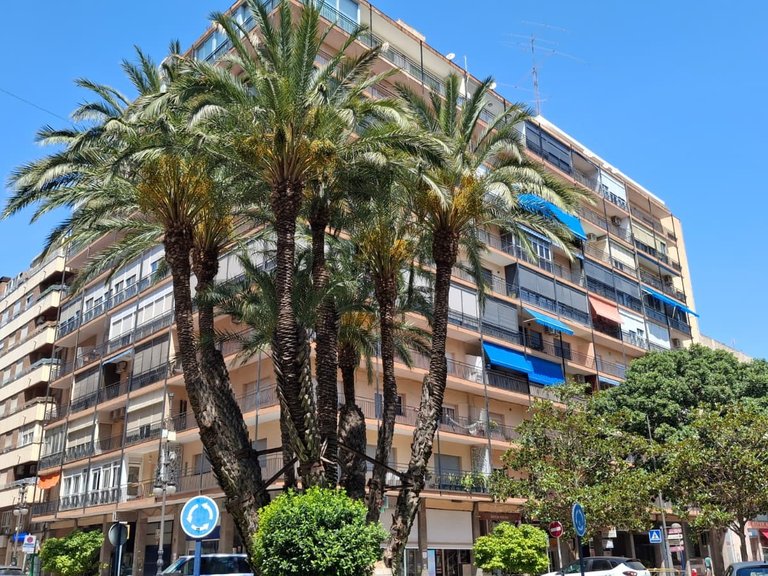 Apartment for Sale in Orihuela, Alicante 1
