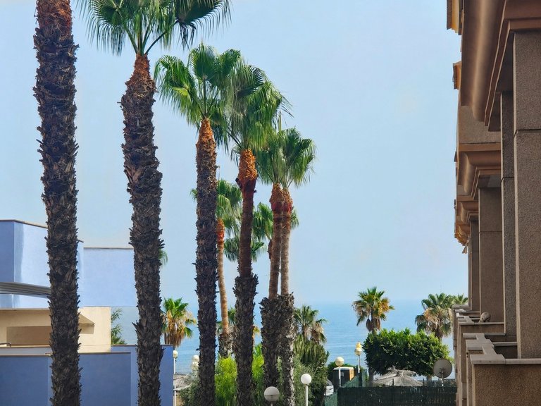 Apartment for Sale in Orihuela Costa, Alicante 13