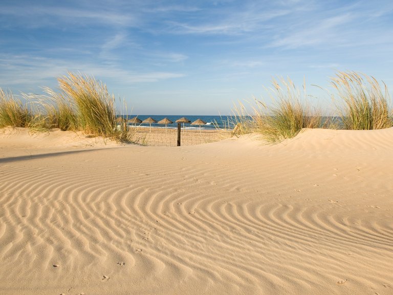 Apartment for Sale in Guardamar Del Segura, Alicante 21