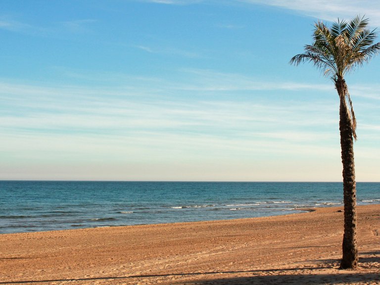 Apartment for Sale in Guardamar Del Segura, Alicante 22