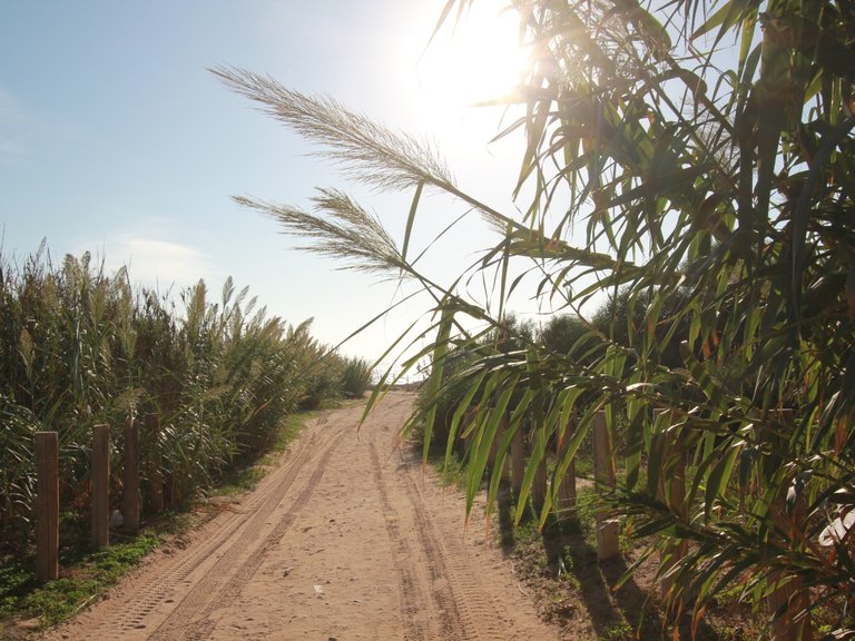 Apartment for Sale in Guardamar Del Segura, Alicante 29