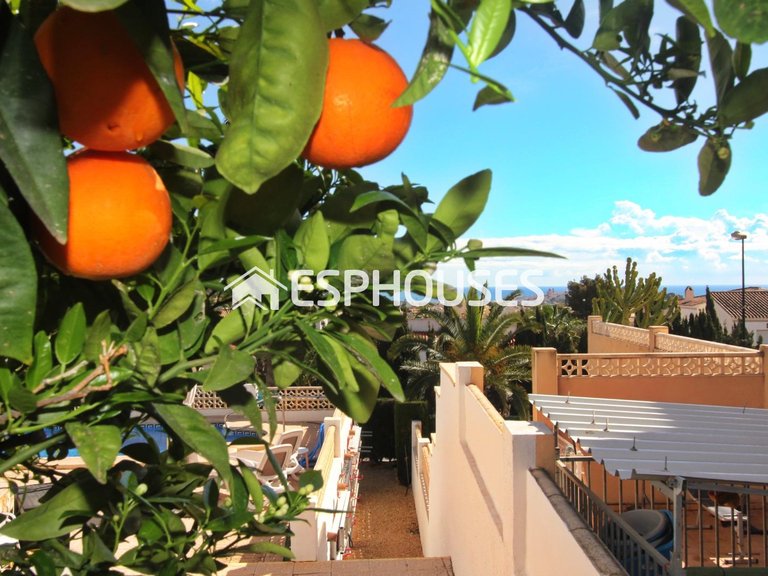 Villa for Sale in La Nucia, Alicante 3