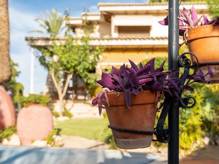 Villa for Sale in Costa Blanca Alicante, Alicante 28