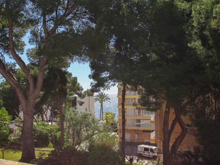 Villa for Sale in Costa Blanca El Campello, Alicante 38