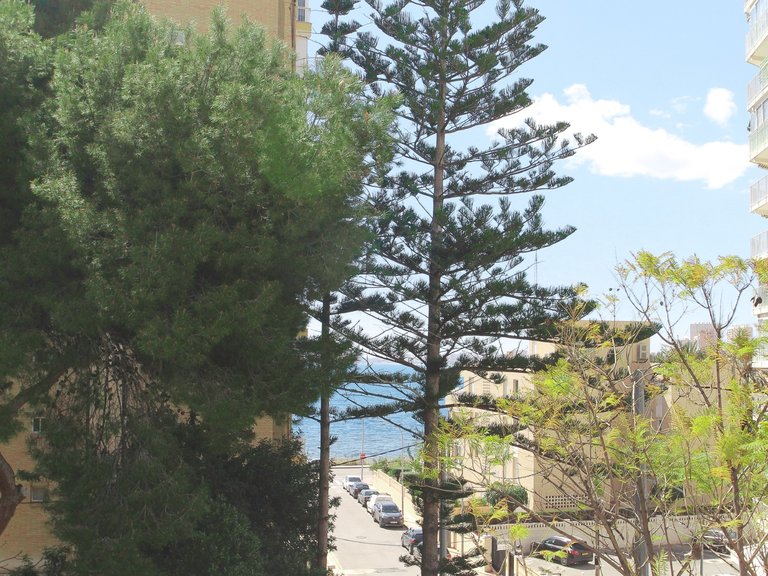 Villa for Sale in Costa Blanca El Campello, Alicante 37