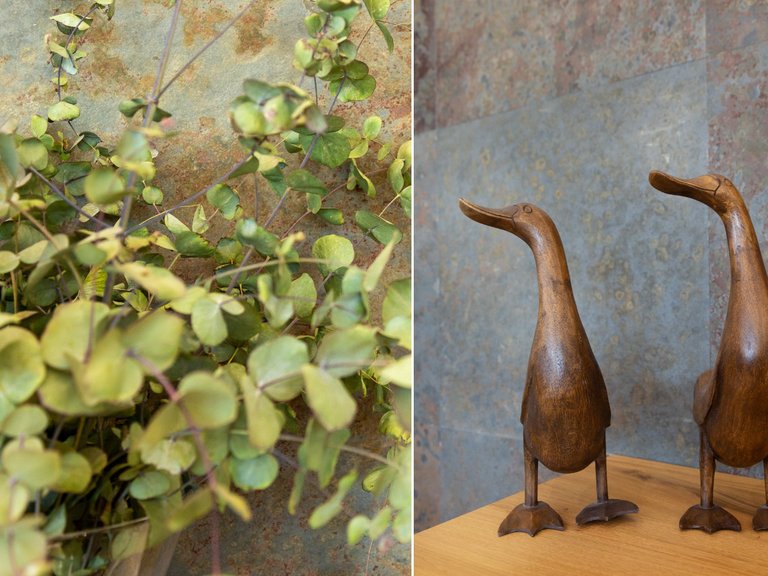 Villa for Sale in Inland San Vicente Del Raspeig, Alicante 21