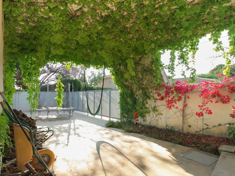 Villa for Sale in Inland San Vicente Del Raspeig, Alicante 4