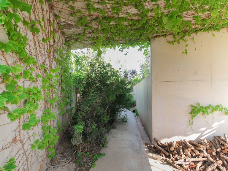 Villa for Sale in Inland San Vicente Del Raspeig, Alicante 12