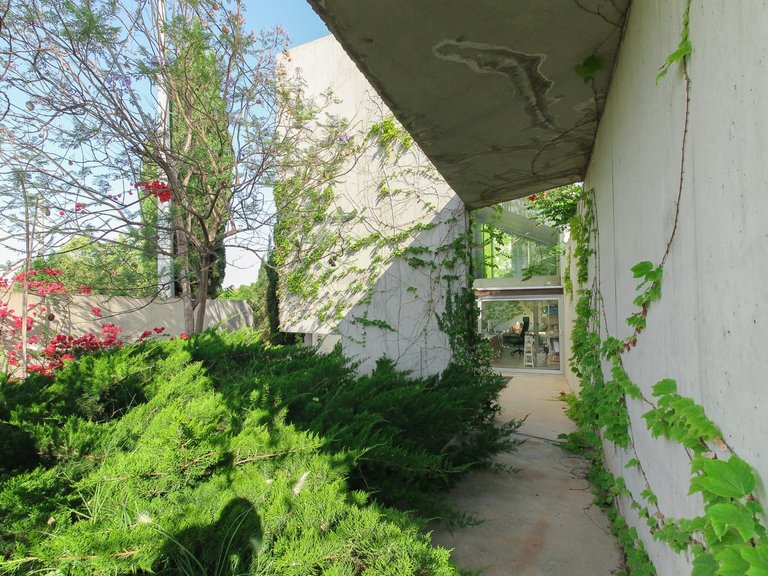 Villa for Sale in Inland San Vicente Del Raspeig, Alicante 8
