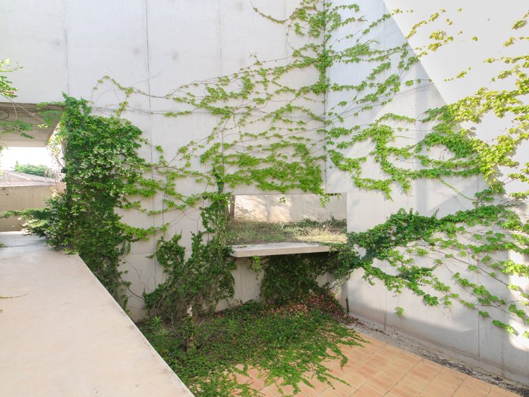 Villa for Sale in Inland San Vicente Del Raspeig, Alicante 10