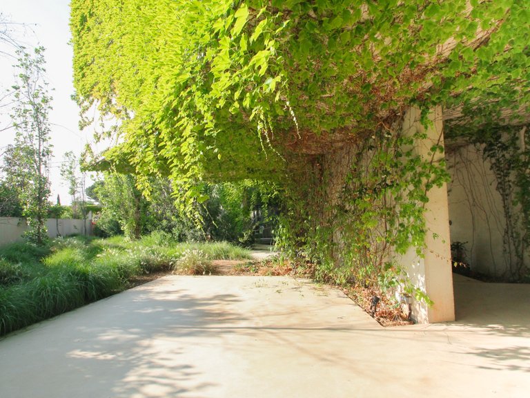Villa for Sale in Inland San Vicente Del Raspeig, Alicante 23