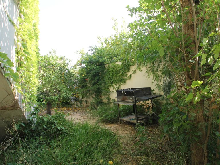 Villa for Sale in Inland San Vicente Del Raspeig, Alicante 27