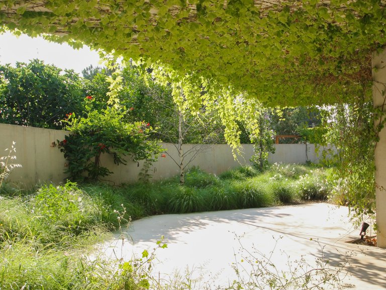 Villa for Sale in Inland San Vicente Del Raspeig, Alicante 31