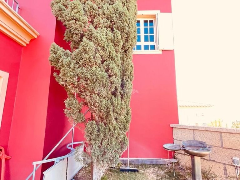 Villa for Sale in Chayofa, Tenerife 49