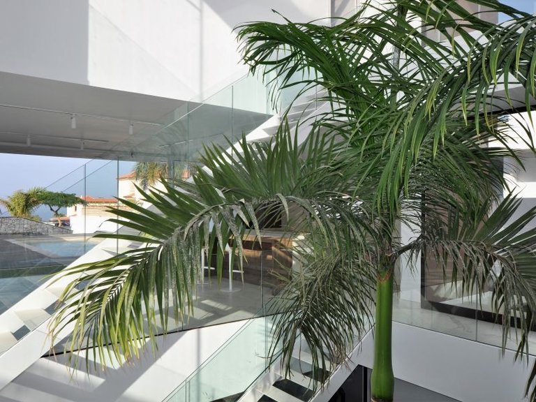 Villa for Sale in Costa Adeje, Malaga 11