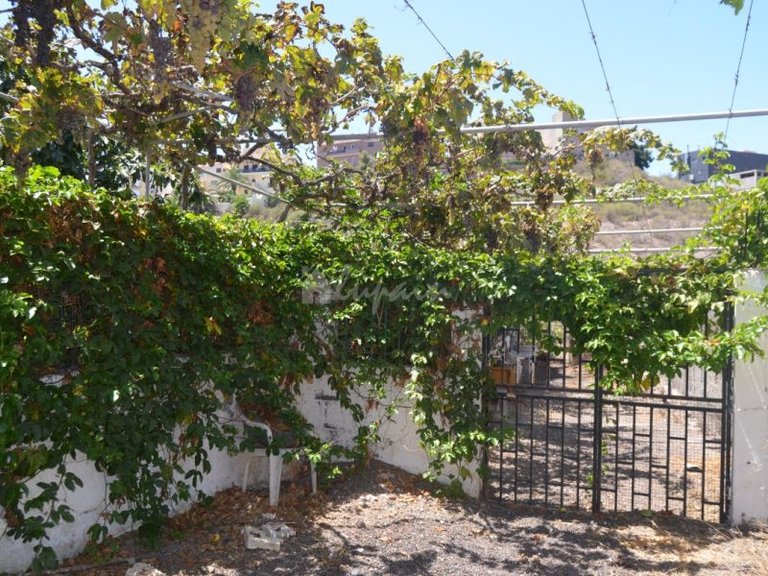 Apartment for Sale in Buzanada, Tenerife 23