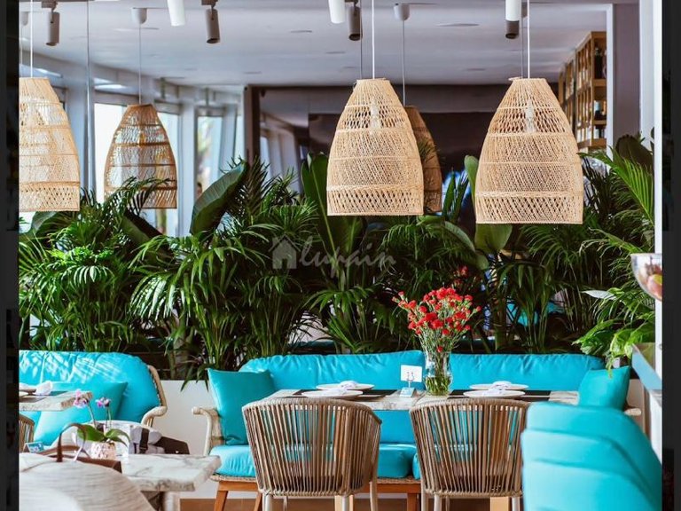 Commercial for Sale in Los Cristianos, Tenerife 1