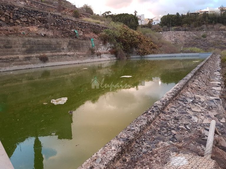 Apartment for Sale in Buzanada, Tenerife 27