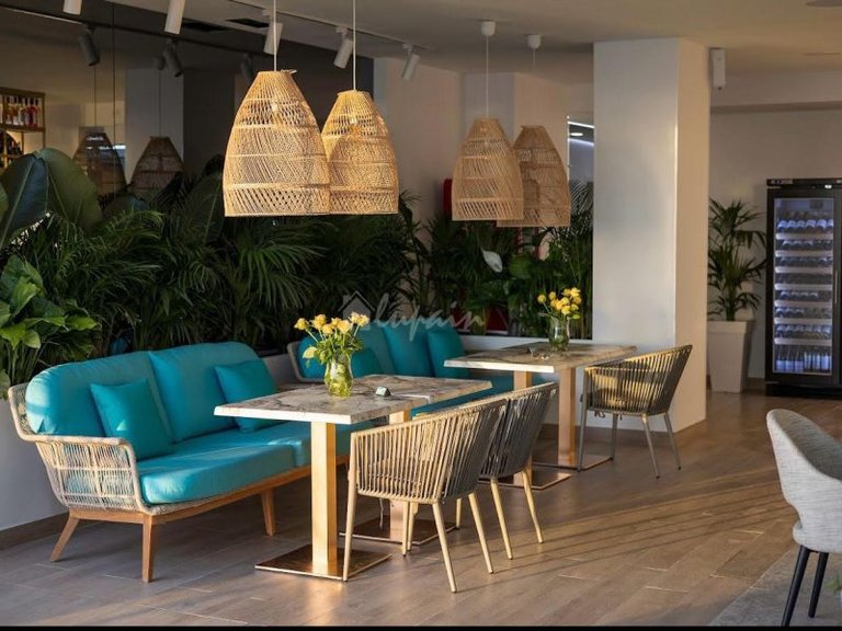 Commercial for Sale in Los Cristianos, Tenerife 4