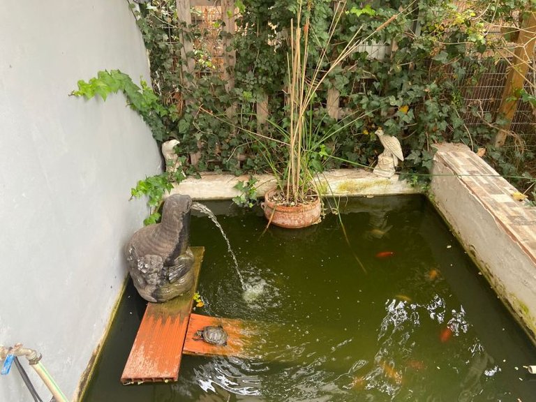 Villa for Sale in La Camella, La Arenita 26