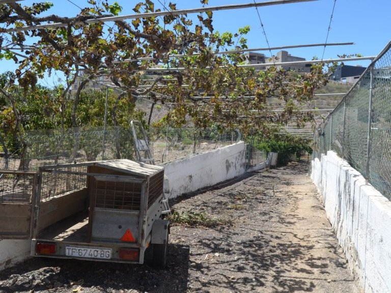 Apartment for Sale in Buzanada, Tenerife 22