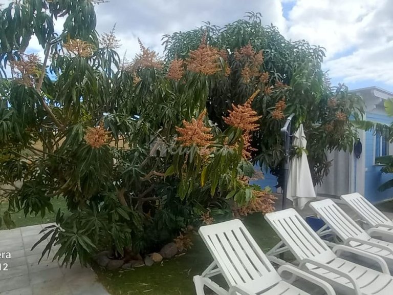 Villa for Sale in Las Galletas, Tenerife 14