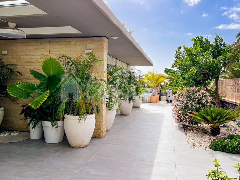 Villa for Sale in Costa Adeje, Malaga 14